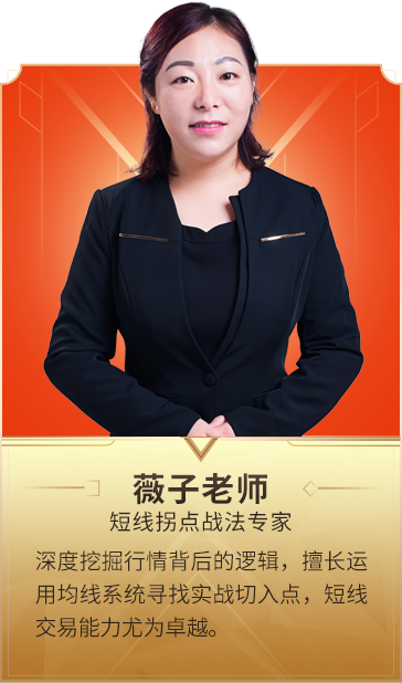 薇子老师