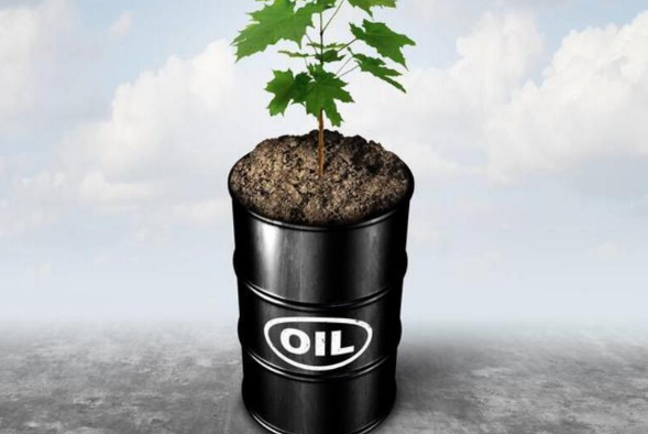 影响原油价格波动的因素