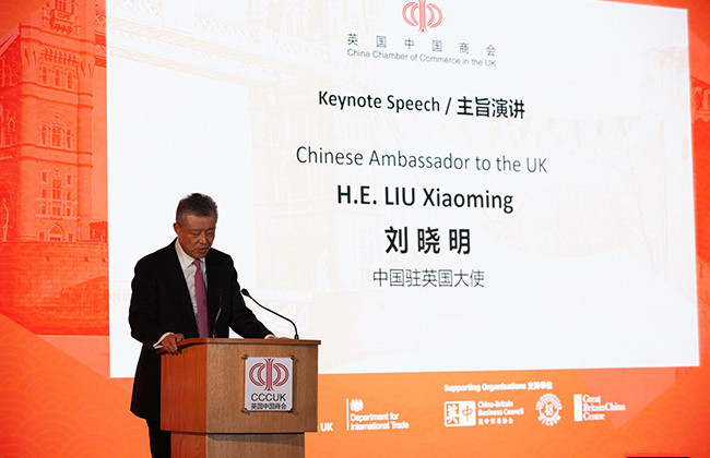 刘晓明先生为本次大会发表主旨演讲